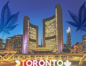 toronto signage, several buildings at the back and silhoutte of two cannabis leaves in the sky area