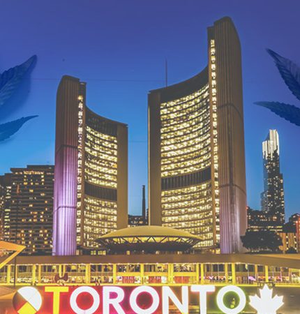 toronto signage, several buildings at the back and silhoutte of two cannabis leaves in the sky area